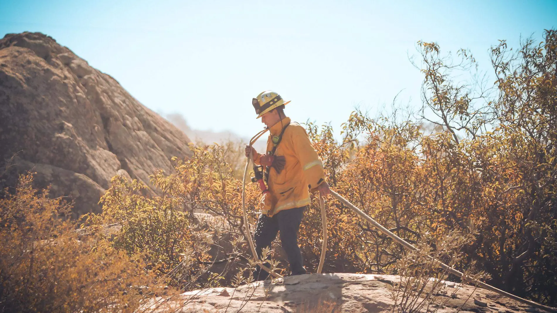 Incendios forestales consumen 240 hectáreas en Tecate
