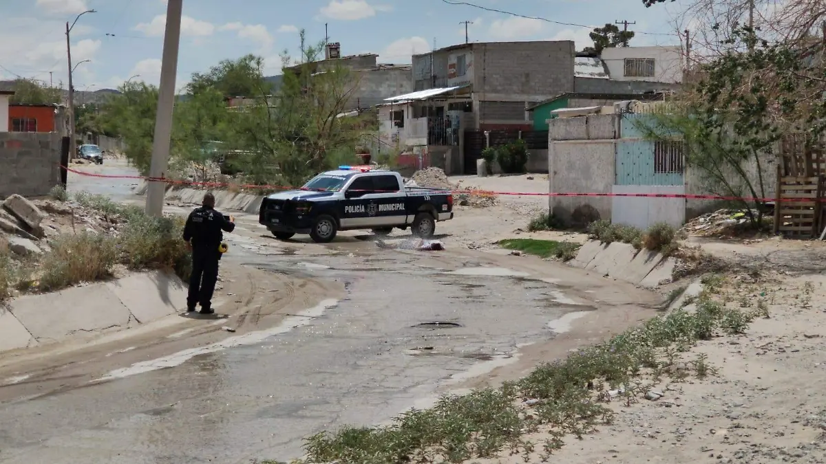 Preocupa aumento de violencia contra mujeres; de enero a agosto asesinan a 74 en Juárez